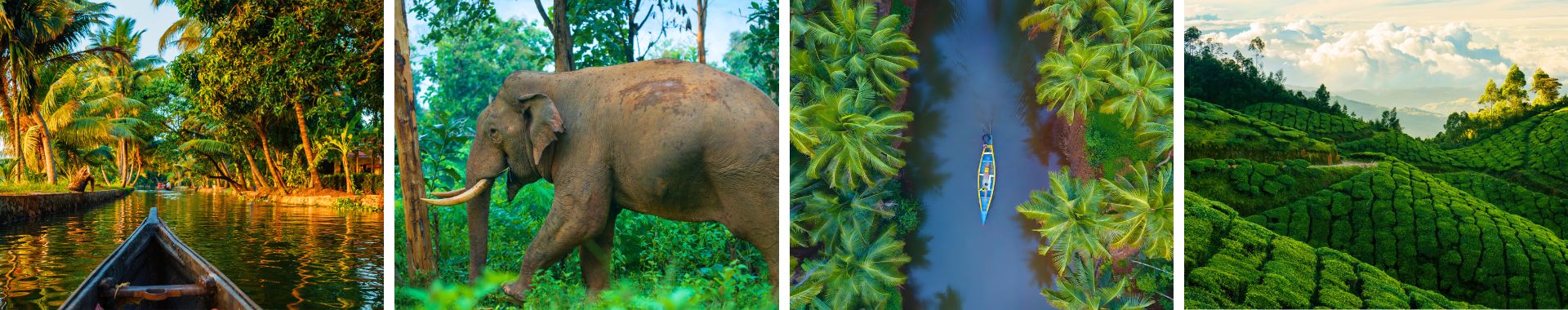 South India Kerala Explorer (1) South India Kerala Explore